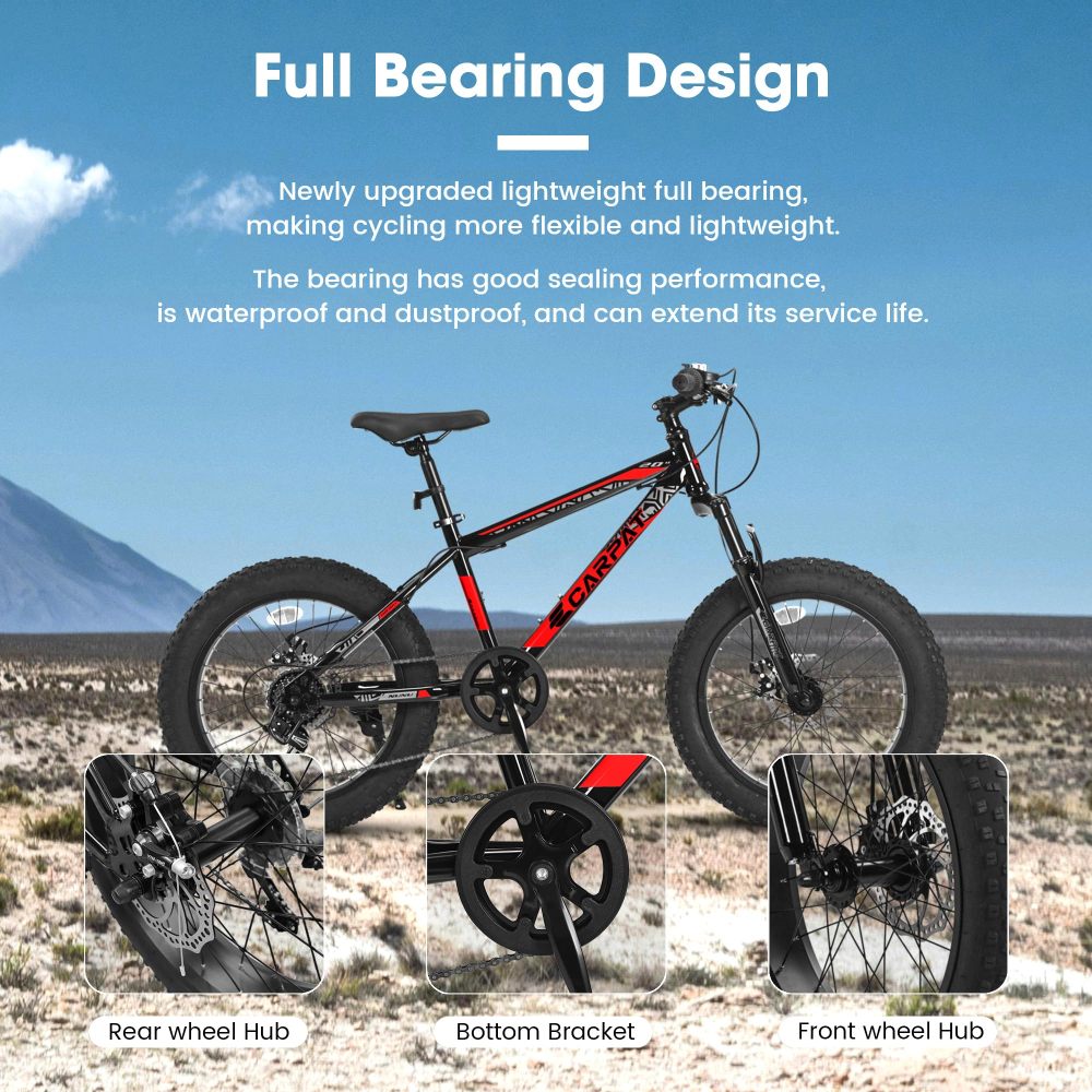 Bicicleta de montaña para niño - Carbon Bike Frame reseña y precio